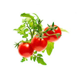 Click and Grow Smart Garden täyttöpakkaus 3 kpl - Kirsikkatomaatti