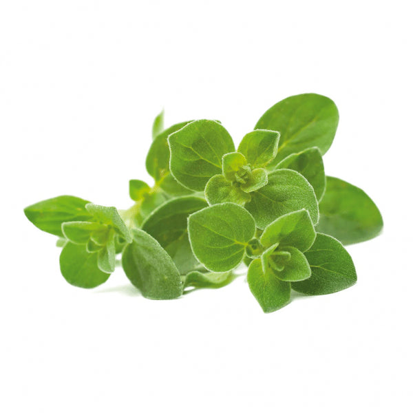 Click and Grow Smart Garden täyttöpakkaus 3 kpl - Oregano