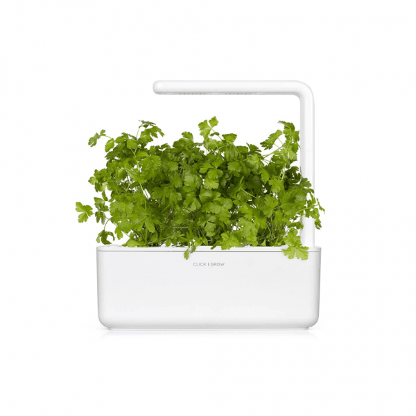 Click and Grow Smart Garden täyttöpakkaus 3 kpl - Persilja