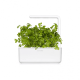 Click and Grow Smart Garden täyttöpakkaus 3 kpl - Persilja