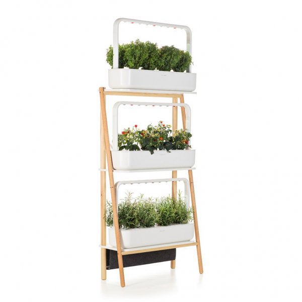 Click and Grow Smart Garden kasviteline
