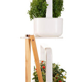Click and Grow Smart Garden kasviteline