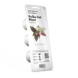 Click and Grow Smart Garden Refill 3-pack - Kirjavalehti