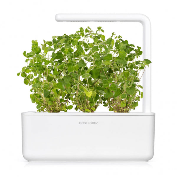 Click and Grow Smart Garden täyttöpakkaus 3 kpl - Oregano