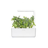 Click and Grow Smart Garden täyttöpakkaus 3 kpl - herne