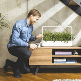 Click and Grow Smart Garden 9 Pro -aloituspaketti, valkoinen