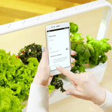 Click and Grow Smart Garden 9 Pro -aloituspaketti, valkoinen