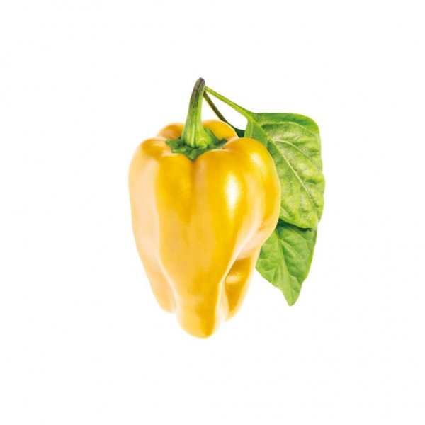Click and Grow Smart Garden täyttöpakkaus 3 kpl - Keltainen paprika