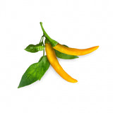 Click and Grow Smart Garden täyttöpakkaus 3 kpl - Keltainen chilipaprika